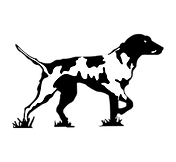 VBPointerLogo.png